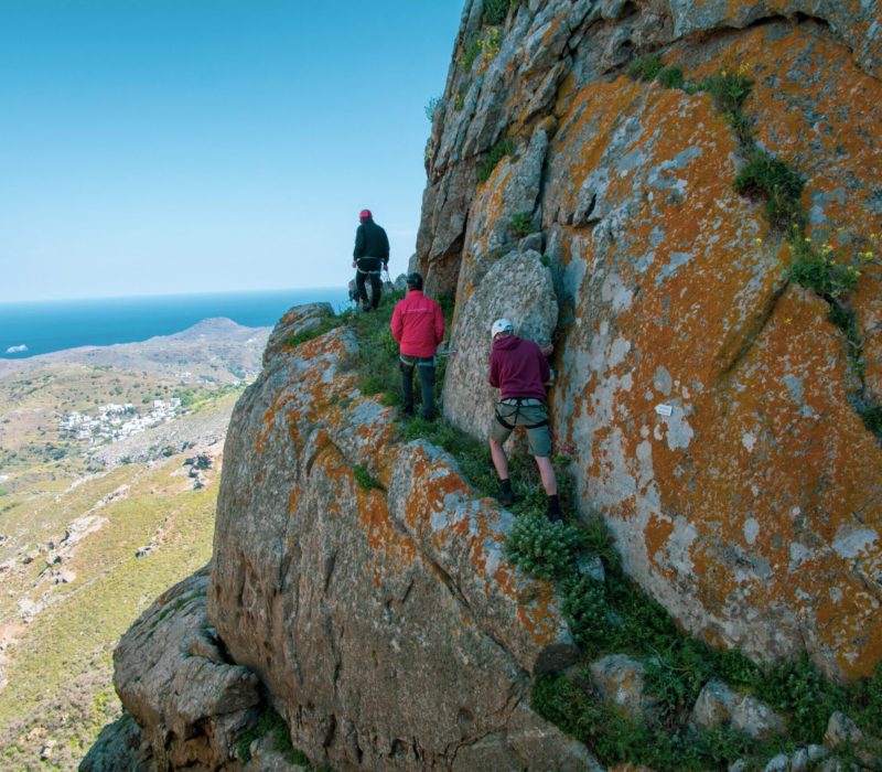 Untitled design (41)